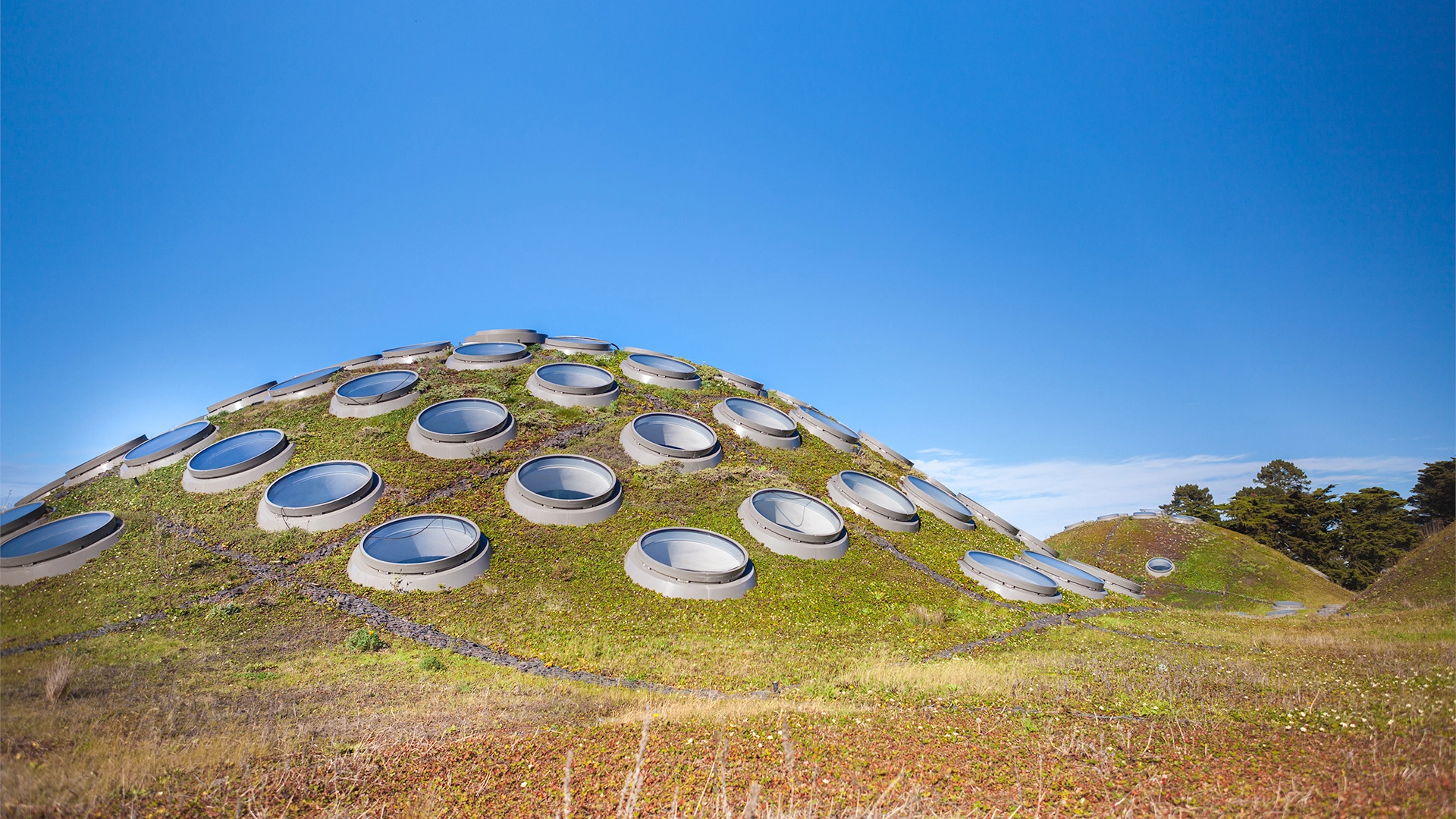 Renzo Piano, "California Academy of Sciences", Architecture with living roof, San Francisco, USA, 2008.